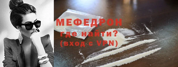 стаф Богородск