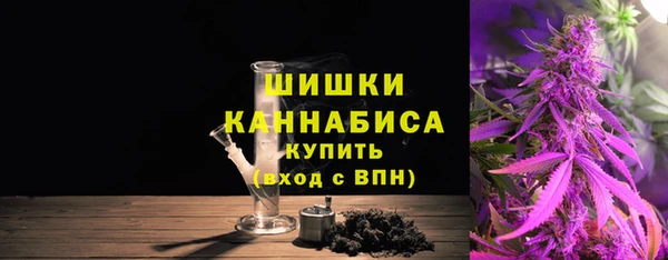 первитин Богданович