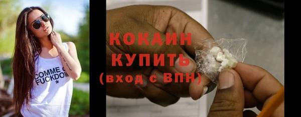 стаф Богородск
