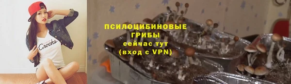 спайс Богородицк