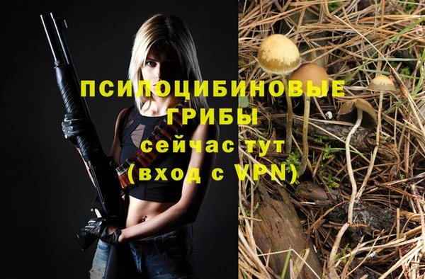 спайс Богородицк