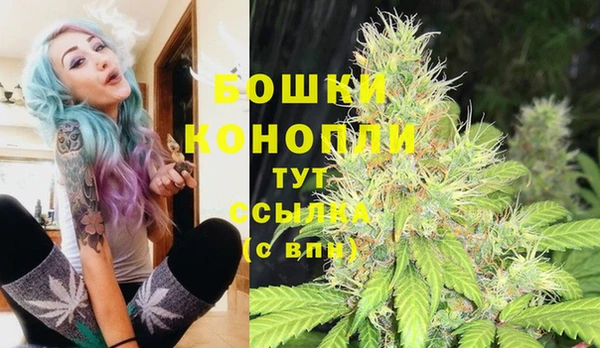 первитин Богданович