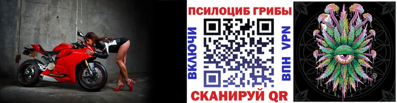МЕГА рабочий сайт  Городище  Галлюциногенные грибы Psilocybine cubensis 
